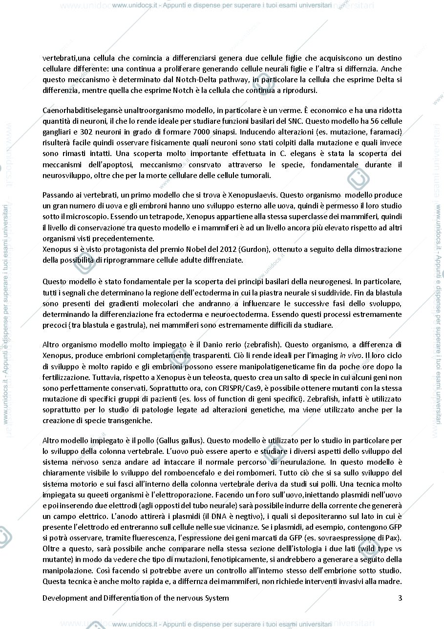 Anteprima pagina 4 — Sbobine Neurosviluppo