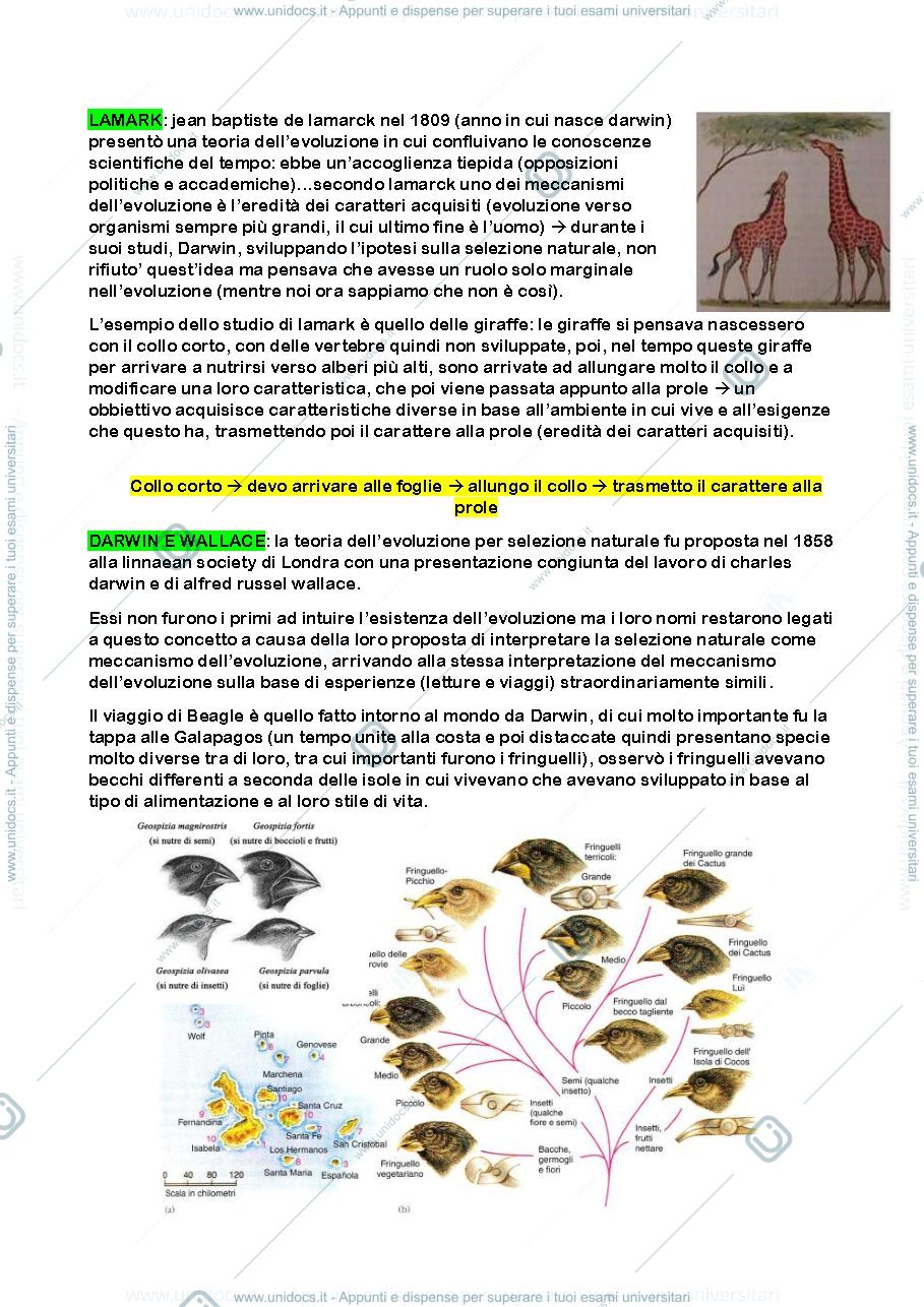 Anteprima pagina 2 — didattica della zoologia