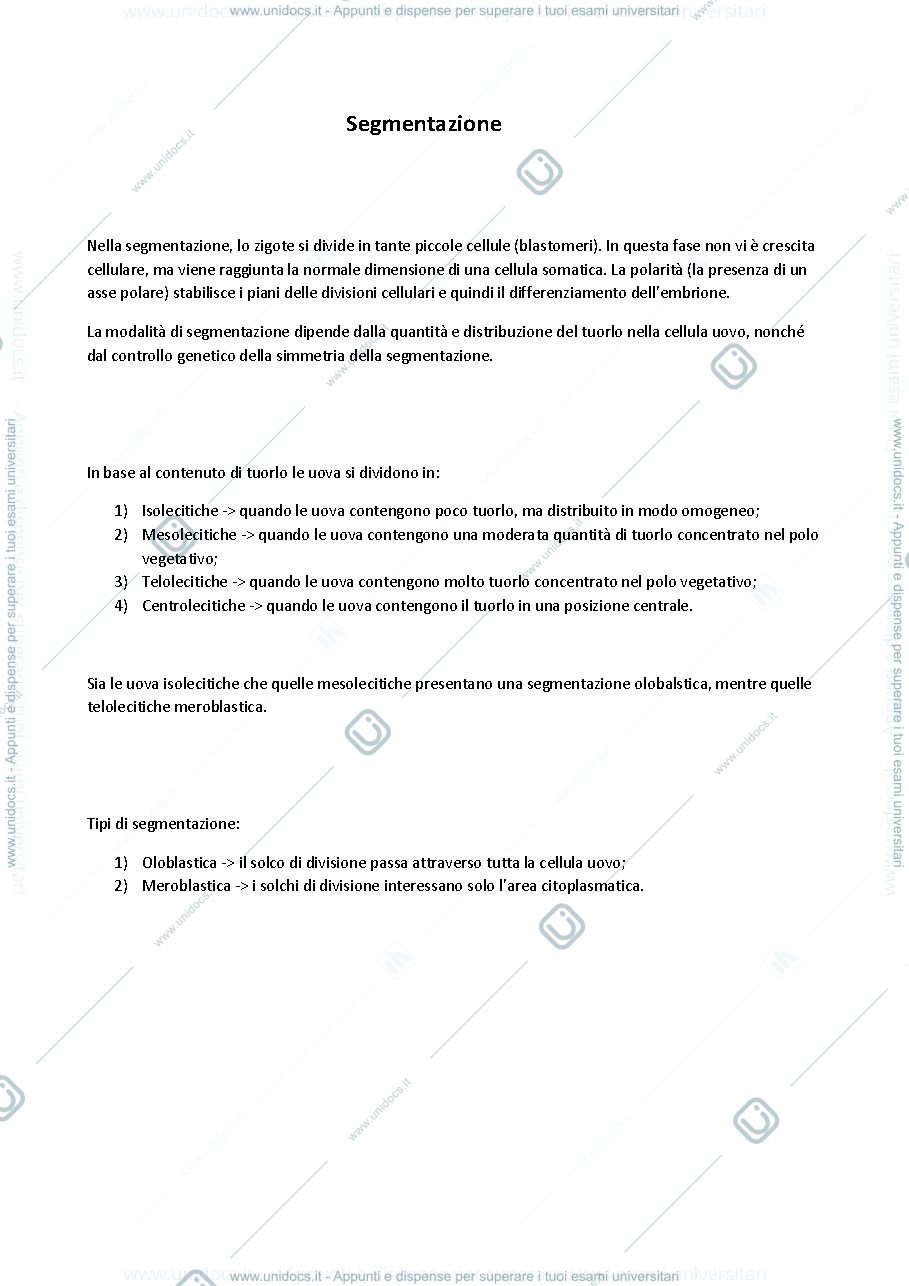 Anteprima pagina 1 — Segmentazione