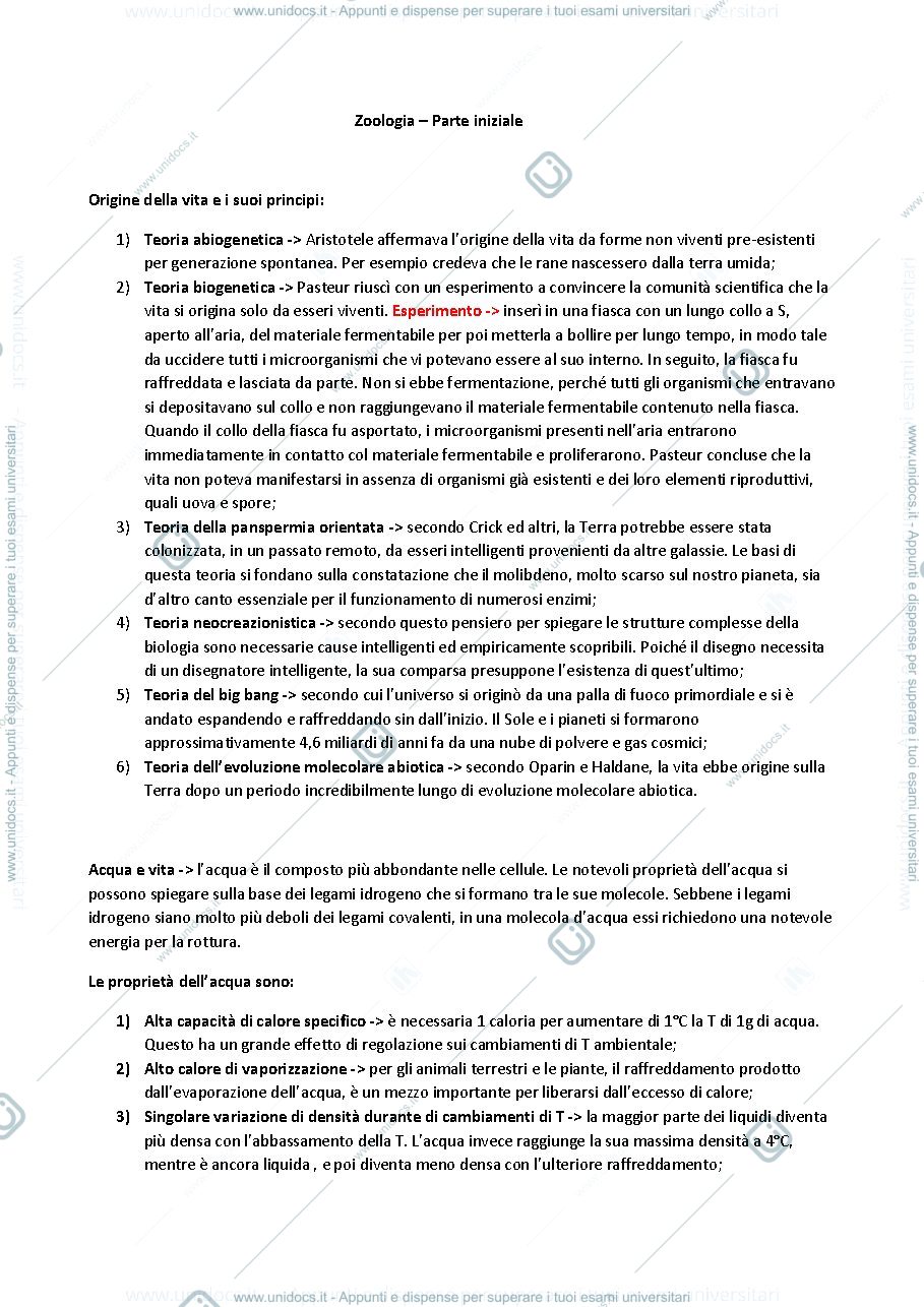 Anteprima pagina 1 — Zoologia genesi