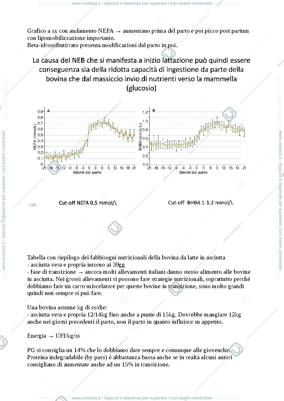 Anteprima pagina 2 — Bovina da latte 