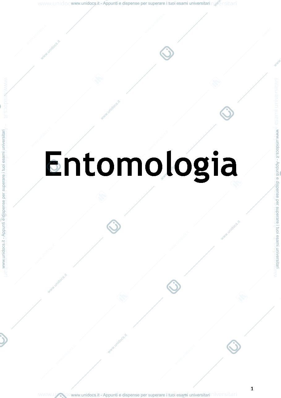 Anteprima pagina 1 — entomologia