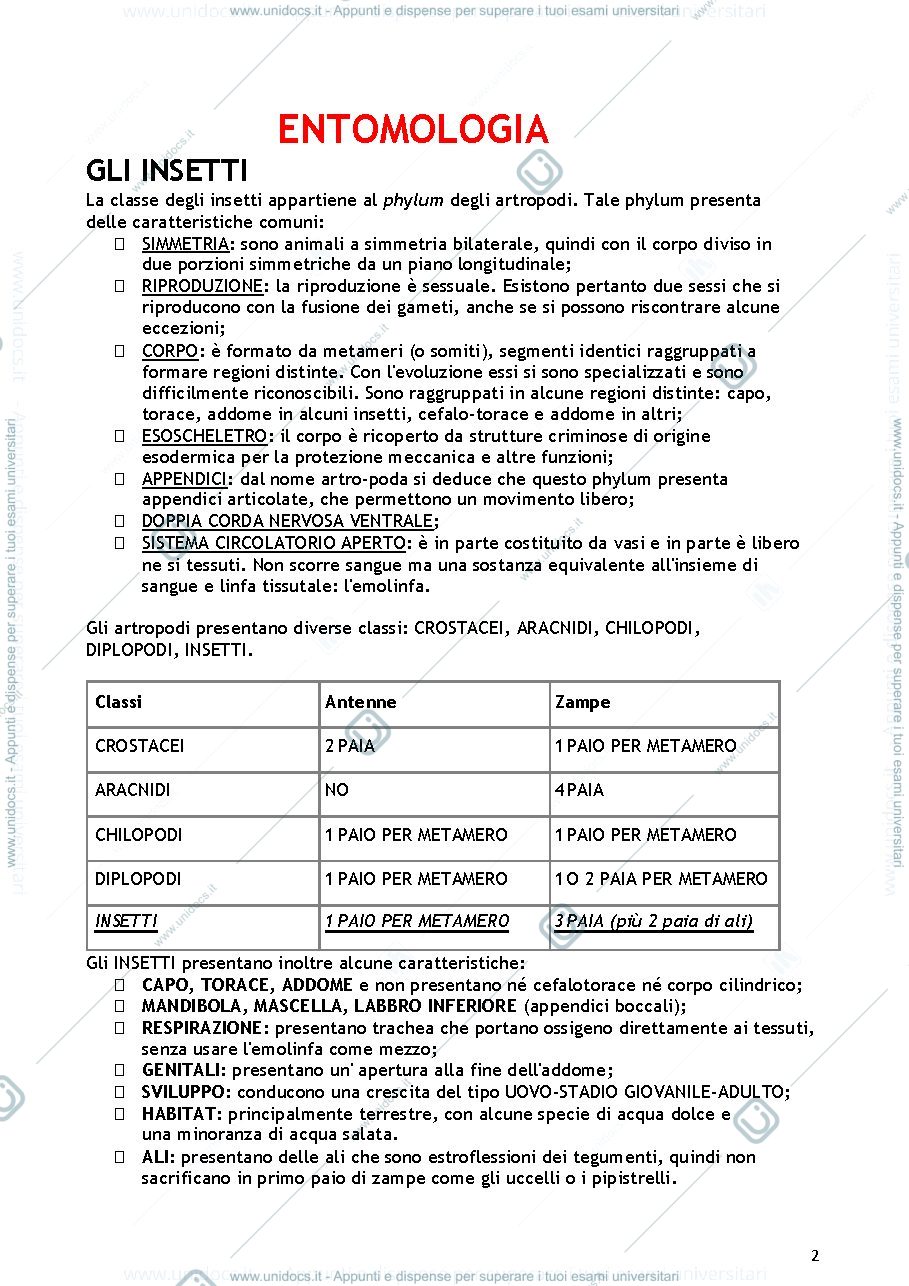 Anteprima pagina 2 — entomologia