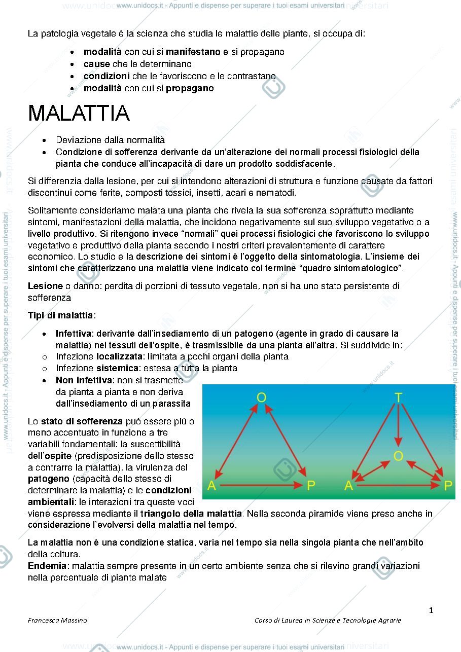 Anteprima pagina 1 — Patologia