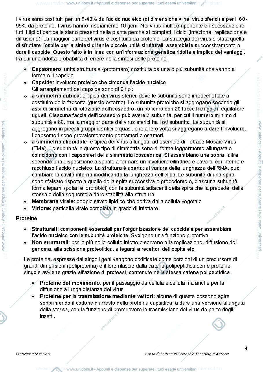 Anteprima pagina 4 — Patologia