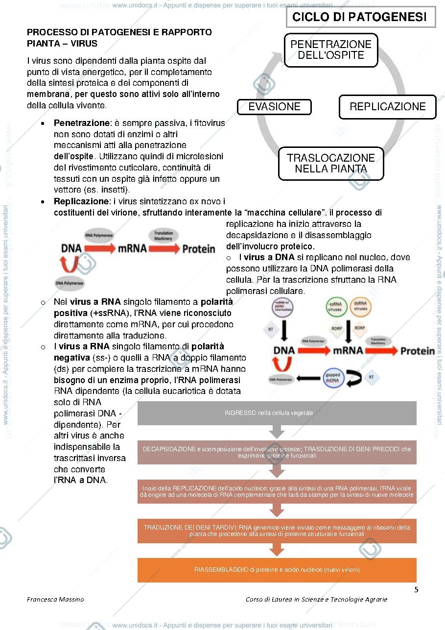 Anteprima pagina 5 — Patologia