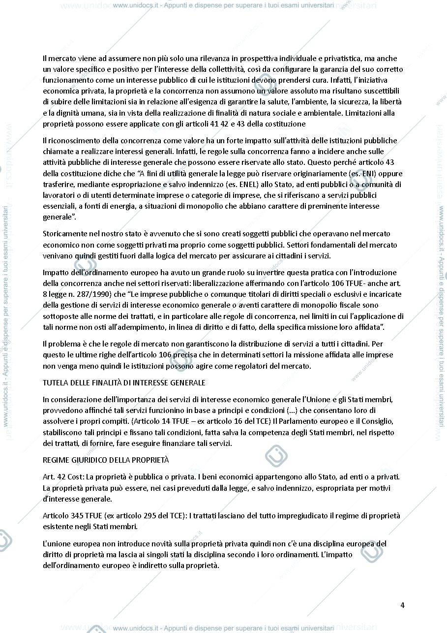 Anteprima pagina 4 — diritto della regolazione ripasso dei concetti utili per il corso