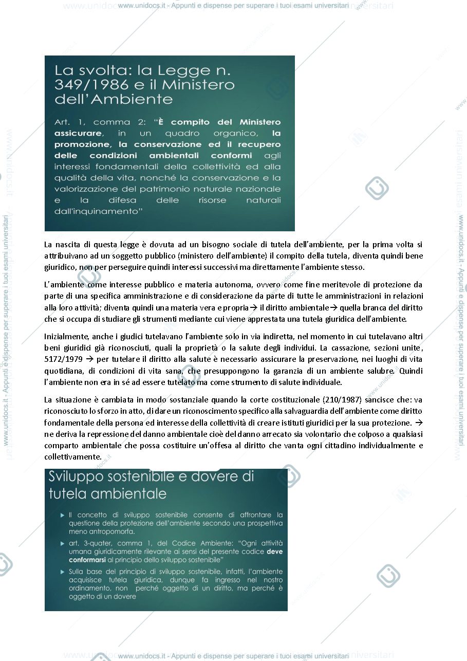 Anteprima pagina 3 — Riassunti diritto ambientale