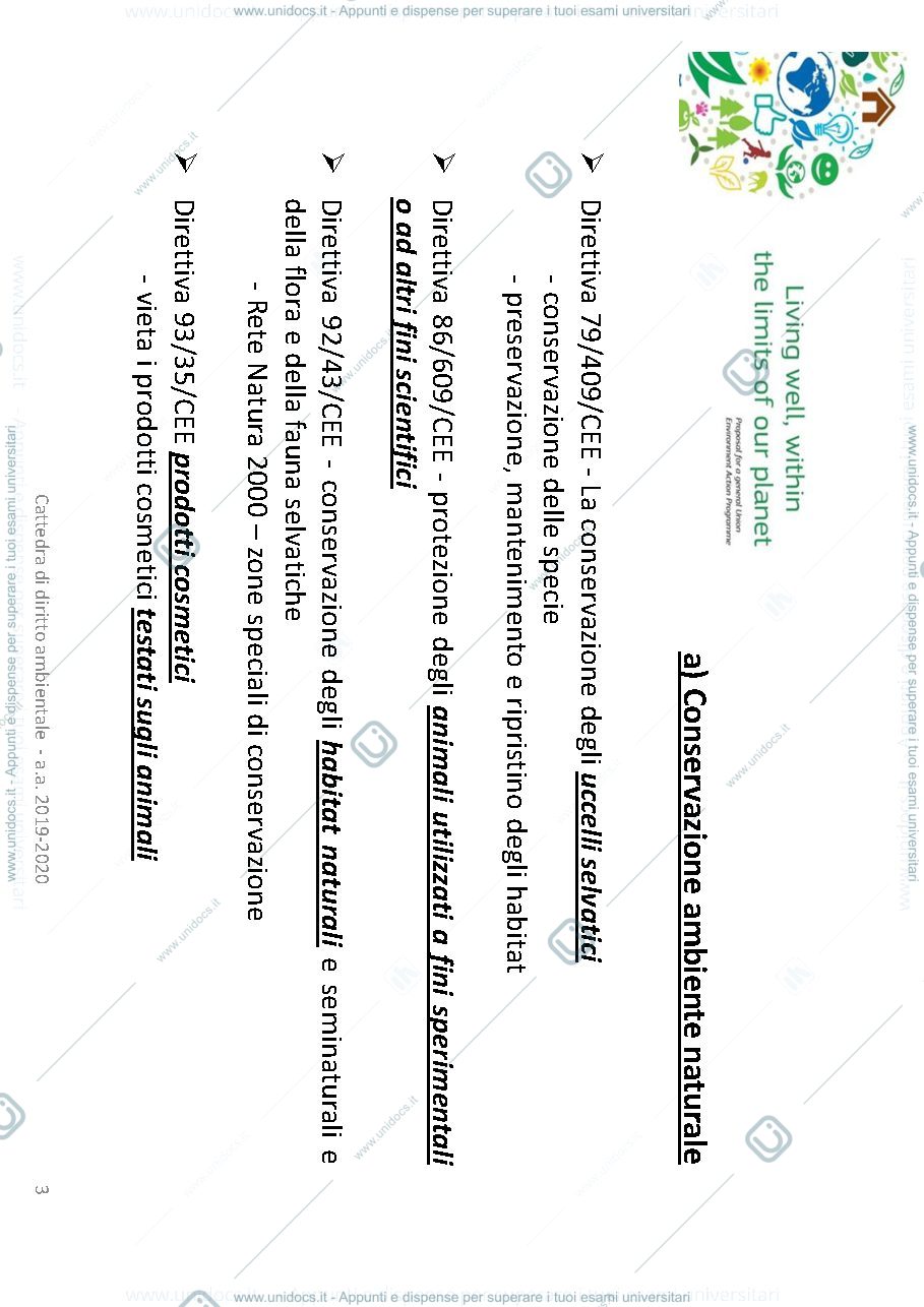 Anteprima pagina 3 — SETTORI DI INTERVENTO UE