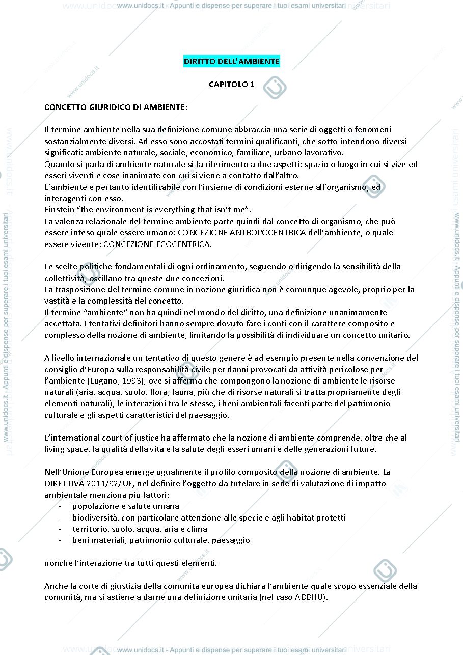 Anteprima pagina 1 — DIRITTO DELL'AMBIENTE