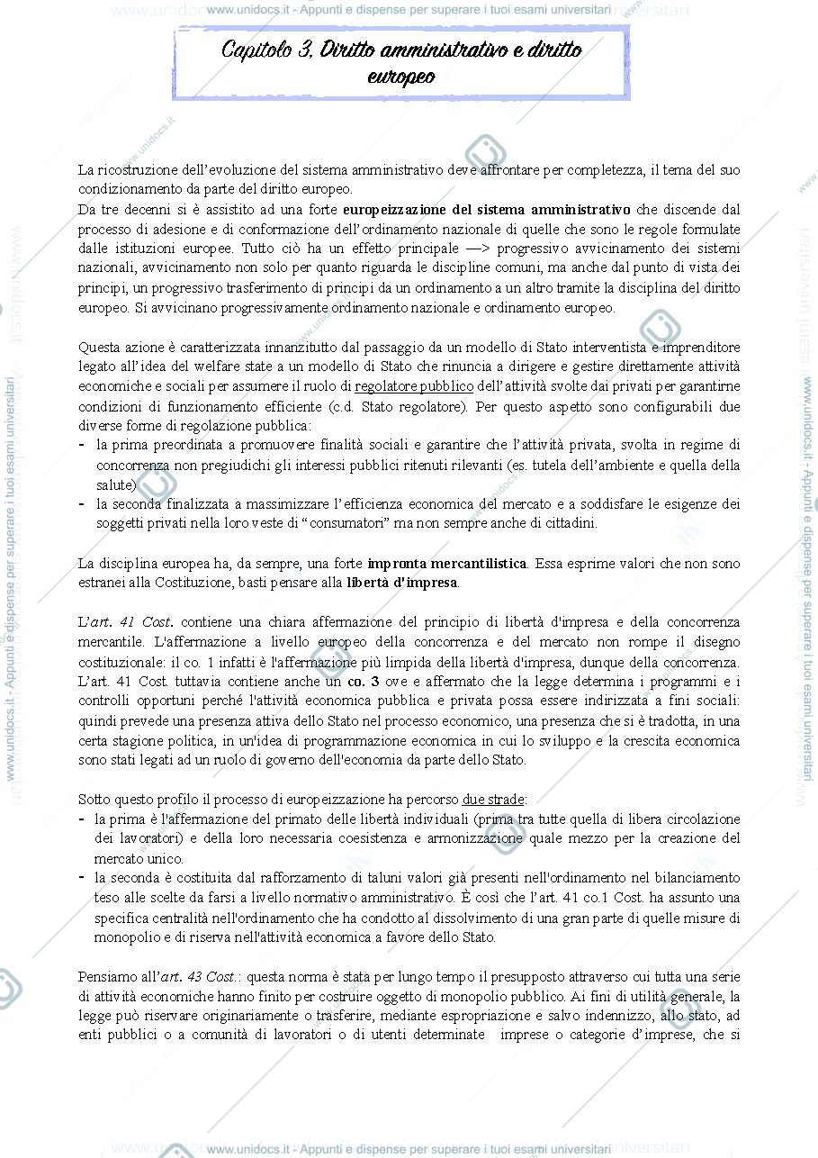 Anteprima pagina 1 — CERULLI IRELLI - CAPITOLO 3