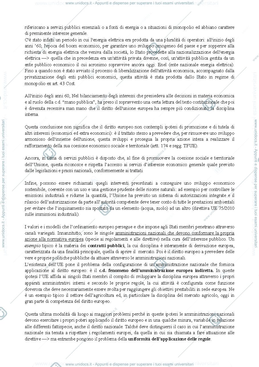 Anteprima pagina 2 — CERULLI IRELLI - CAPITOLO 3