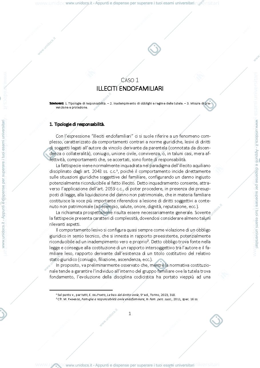 Anteprima pagina 1 — Illeciti Endofamiliari