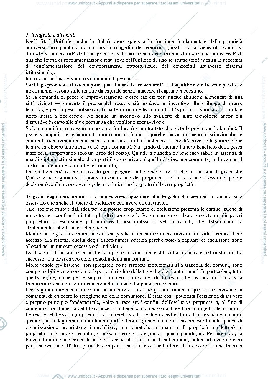Anteprima pagina 3 — Riassunto