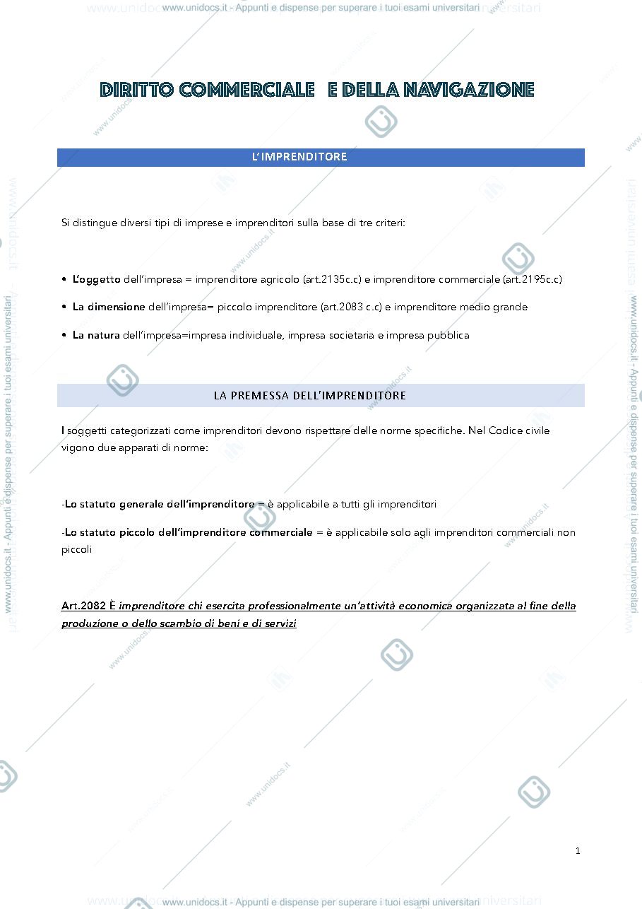Anteprima pagina 1 — DIRITTO COMMERCIALE E DELLA NAVIGAZIONE 