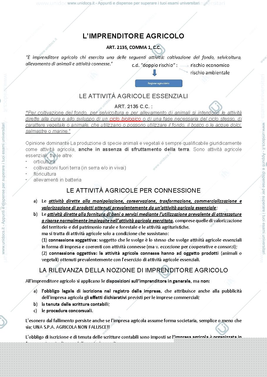 Anteprima pagina 1 — argomento d'esame 