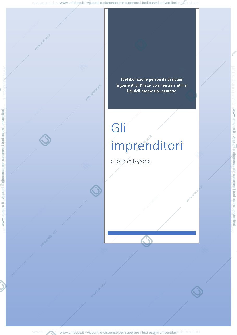 Anteprima pagina 1 — Categorie di imprenditori