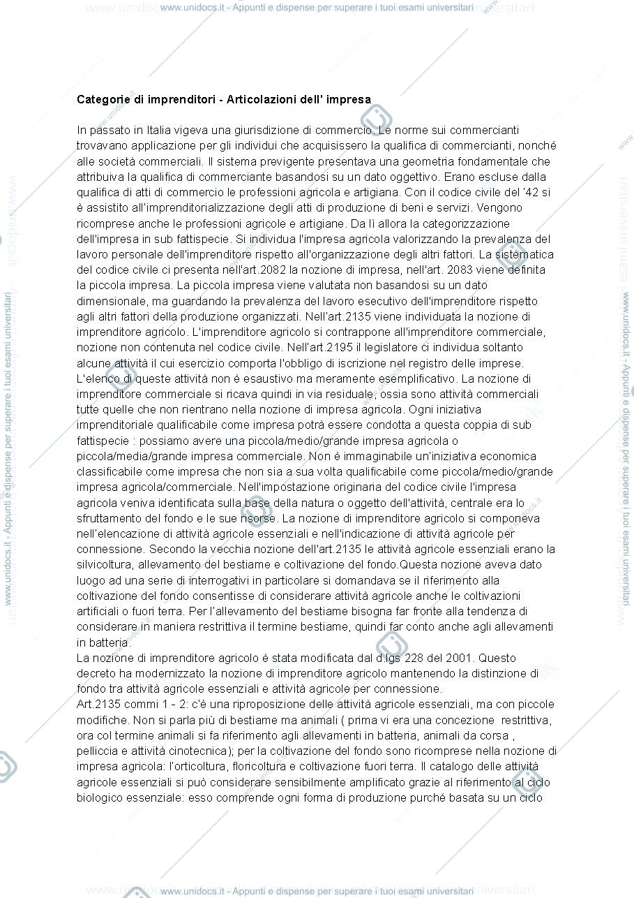Anteprima pagina 1 — Articolazione dell'impresa