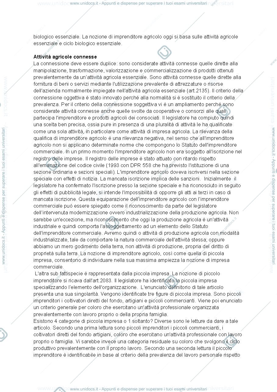 Anteprima pagina 2 — Articolazione dell'impresa