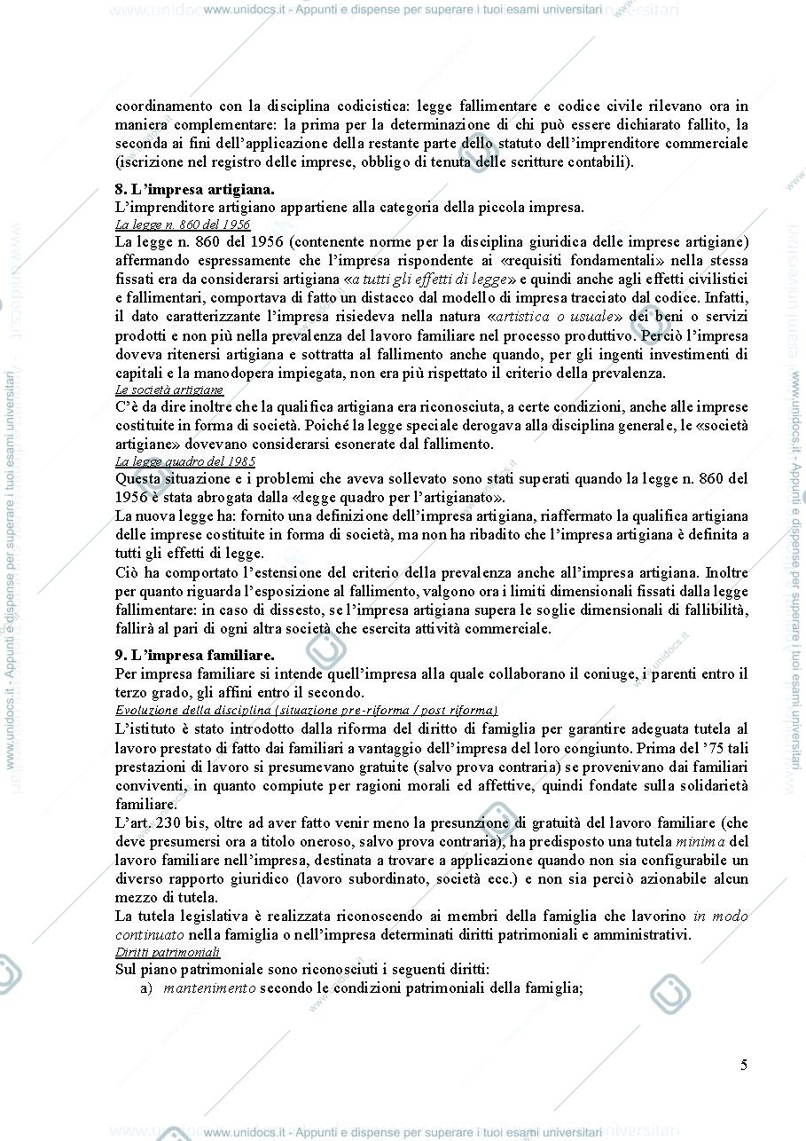 Anteprima pagina 5 — Dispensa diritto commerciale