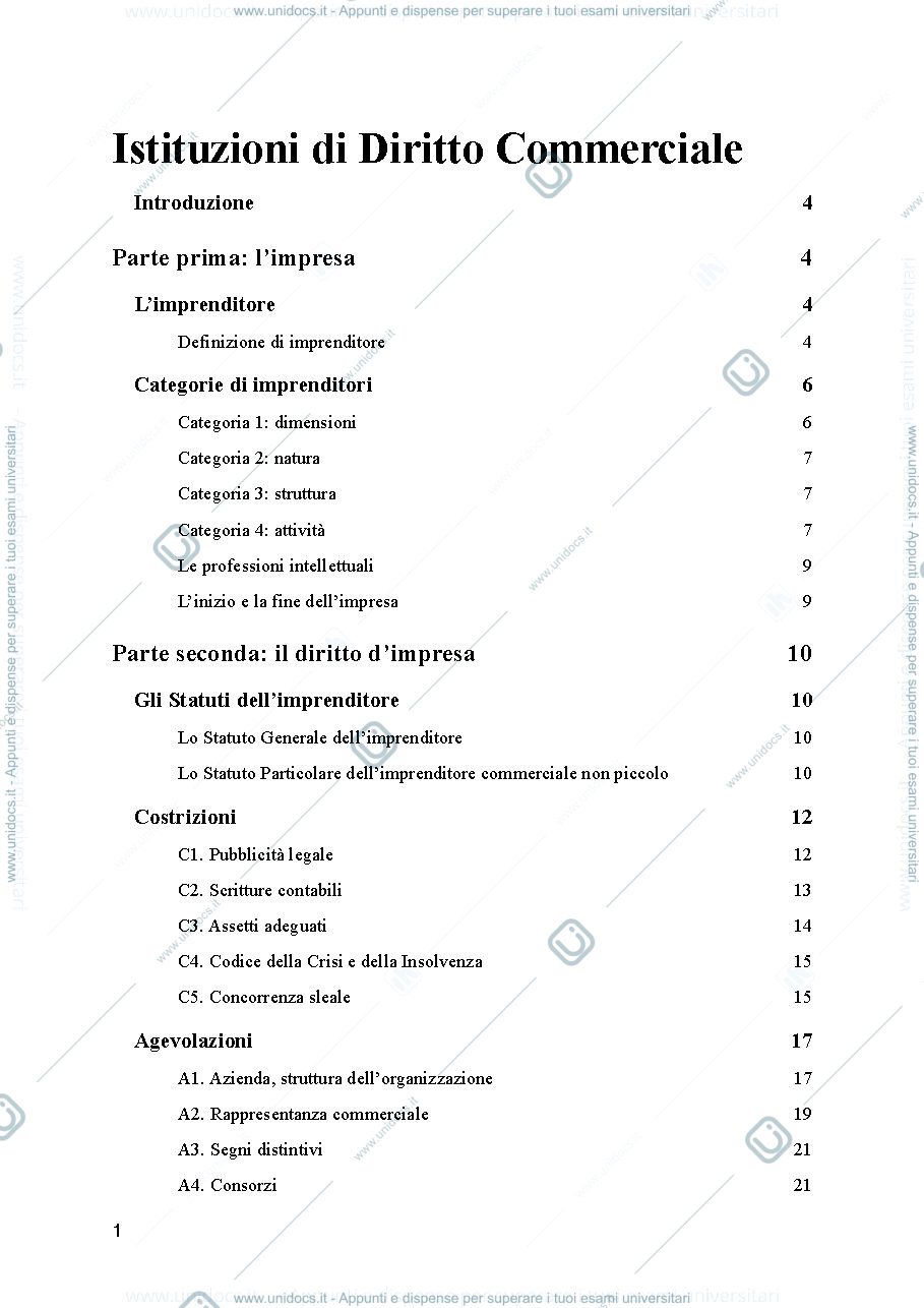 Anteprima pagina 1 — Appunti diritto commerciale