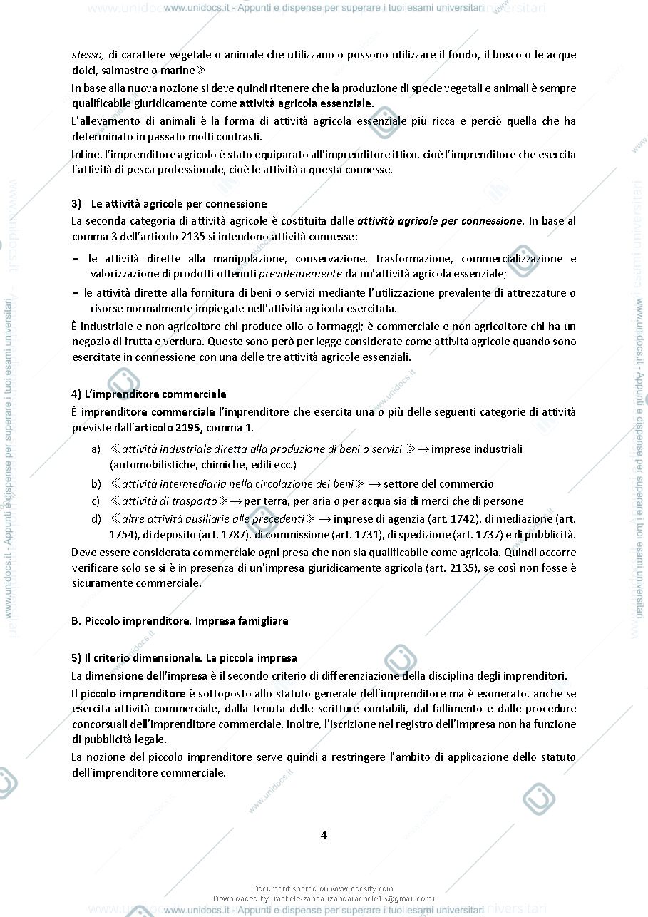 Anteprima pagina 4 — Dispensa diritto commerciale
