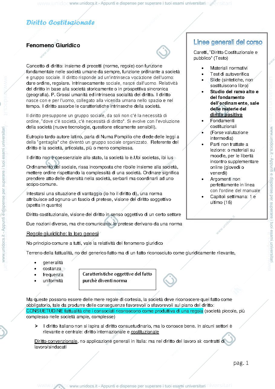 Anteprima pagina 1 — Diritto Costituzionale 