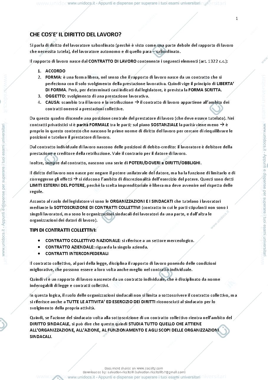 Anteprima pagina 2 — Diritto sindacale 