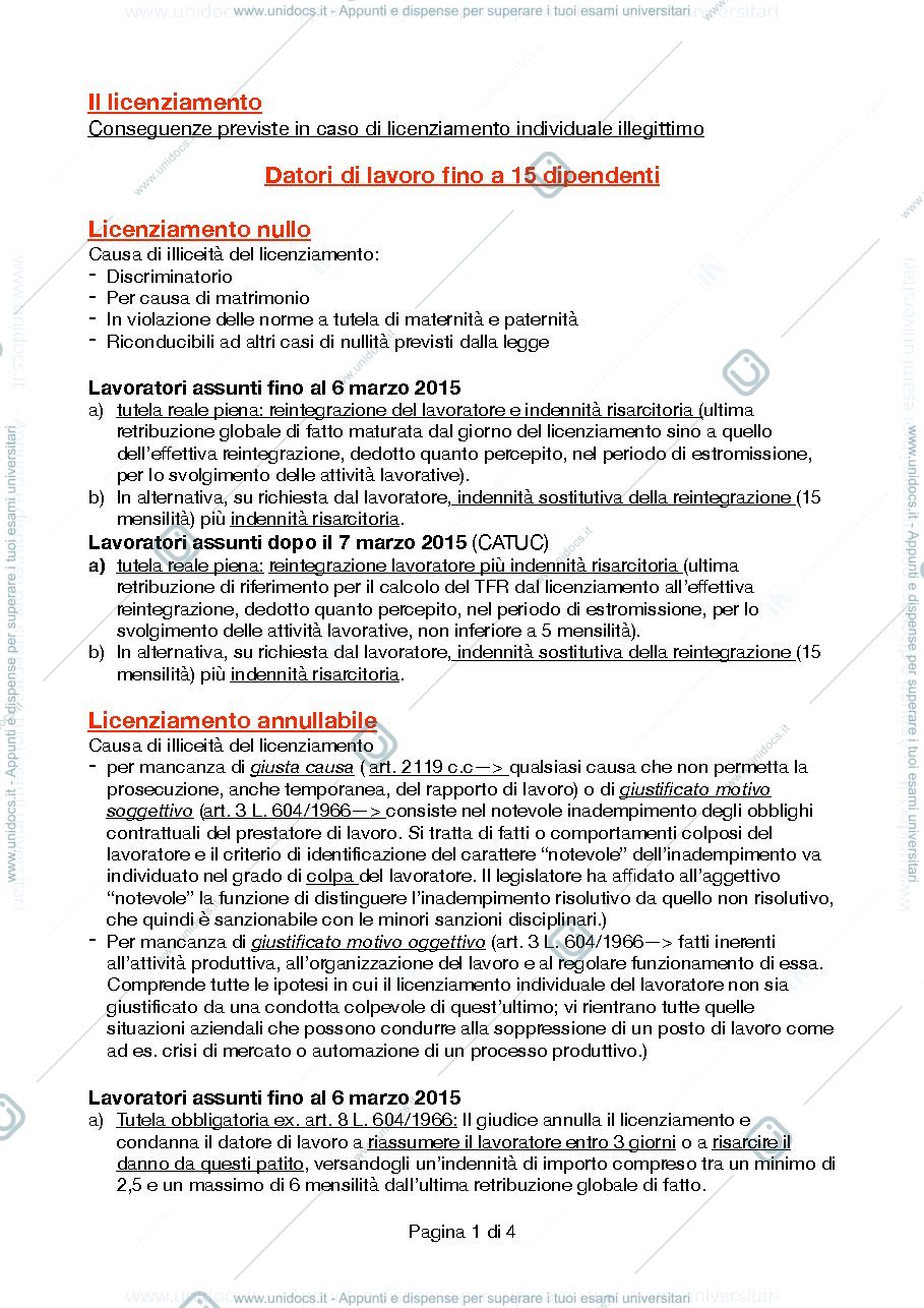 Anteprima pagina 1 — Schema licenziamenti 