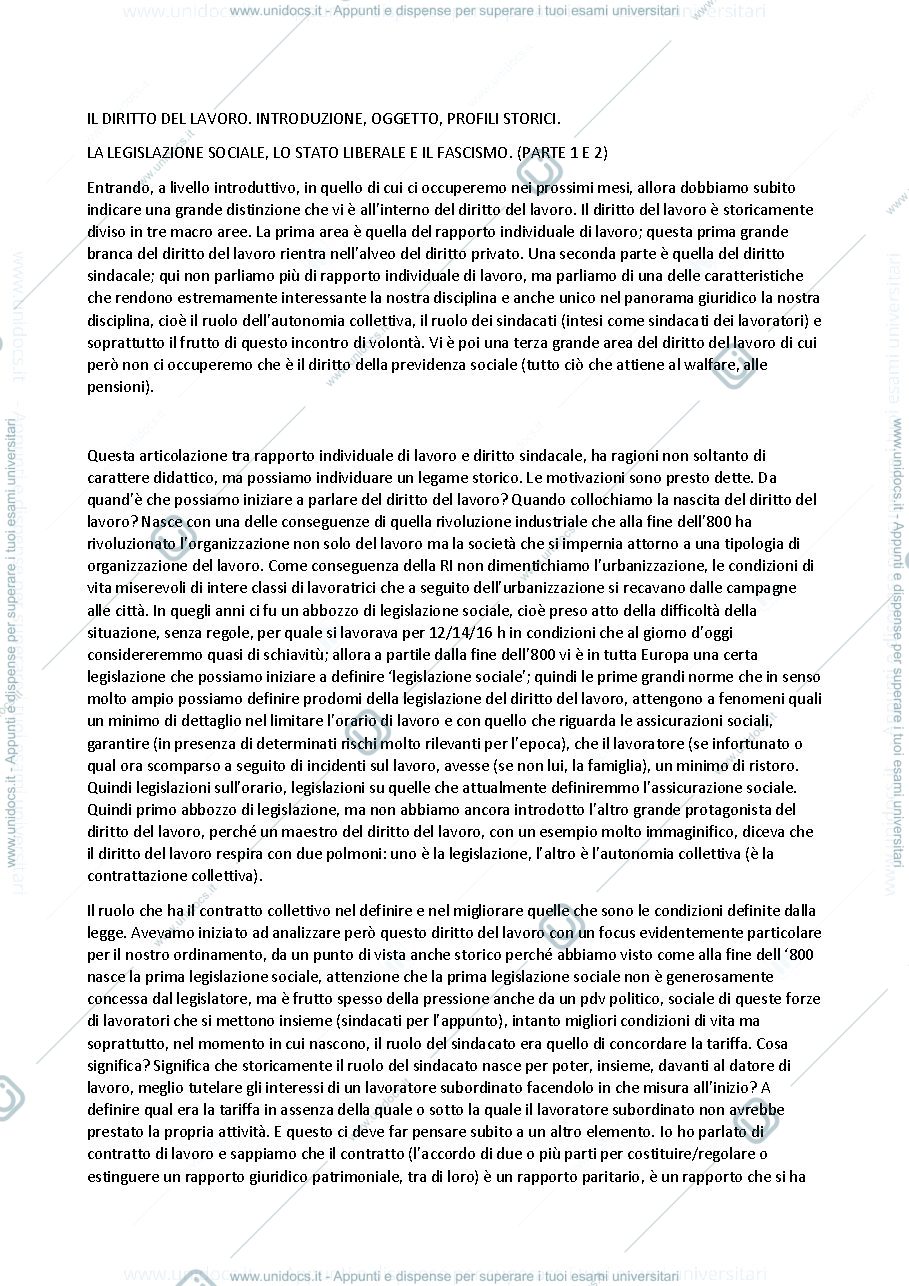 Anteprima pagina 1 — APPUNTI DI DIRITTO DEL LAVORO 