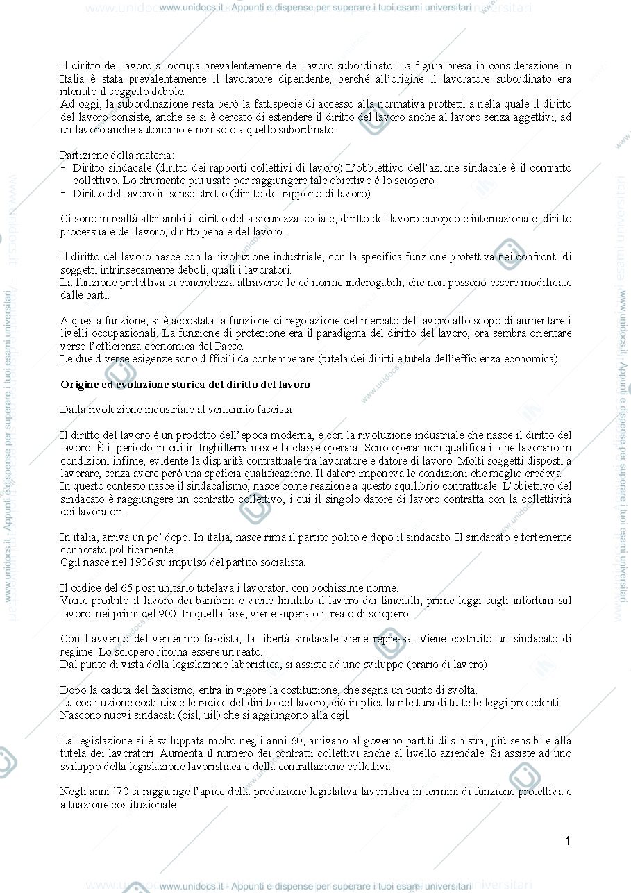 Anteprima pagina 1 — DIRITTO DEL LAVORO