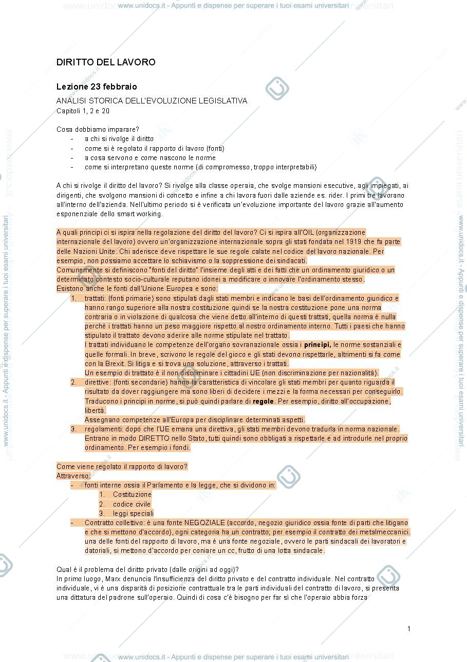 Anteprima pagina 1 — Appunti diritto del lavoro 