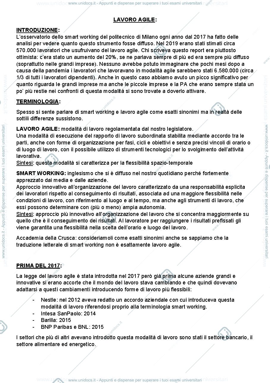 Anteprima pagina 1 — Il lavoro agile