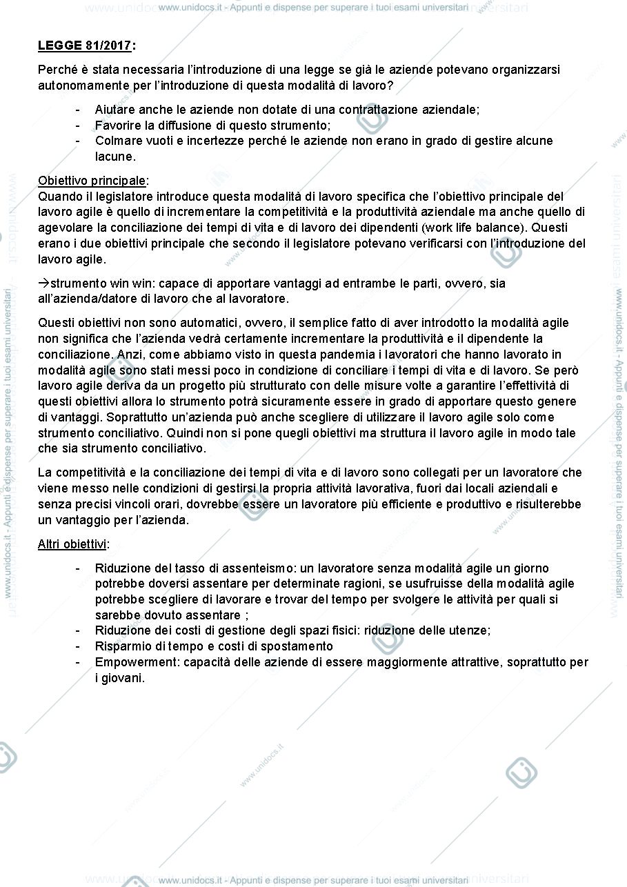 Anteprima pagina 2 — Il lavoro agile