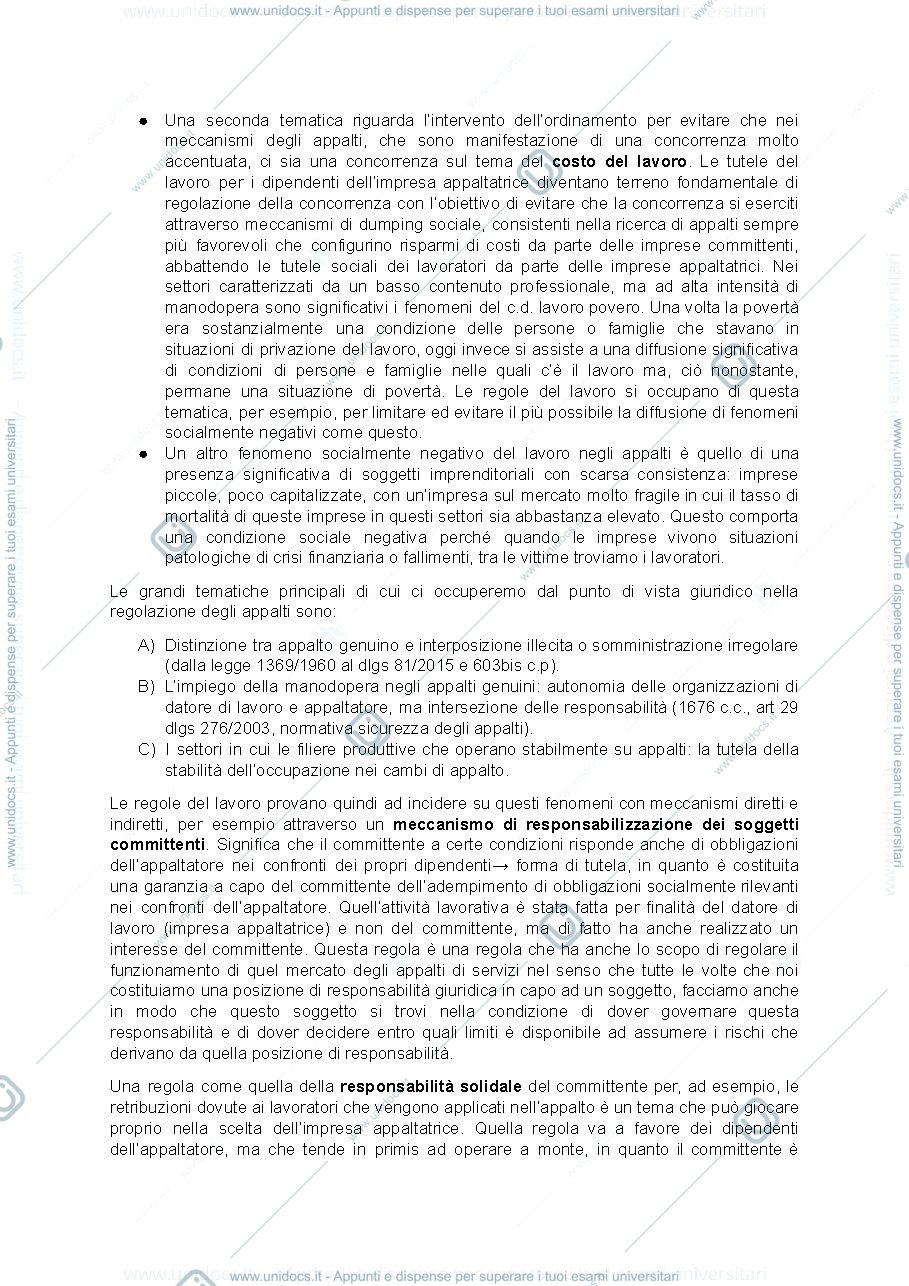 Anteprima pagina 2 — Appunti appalti