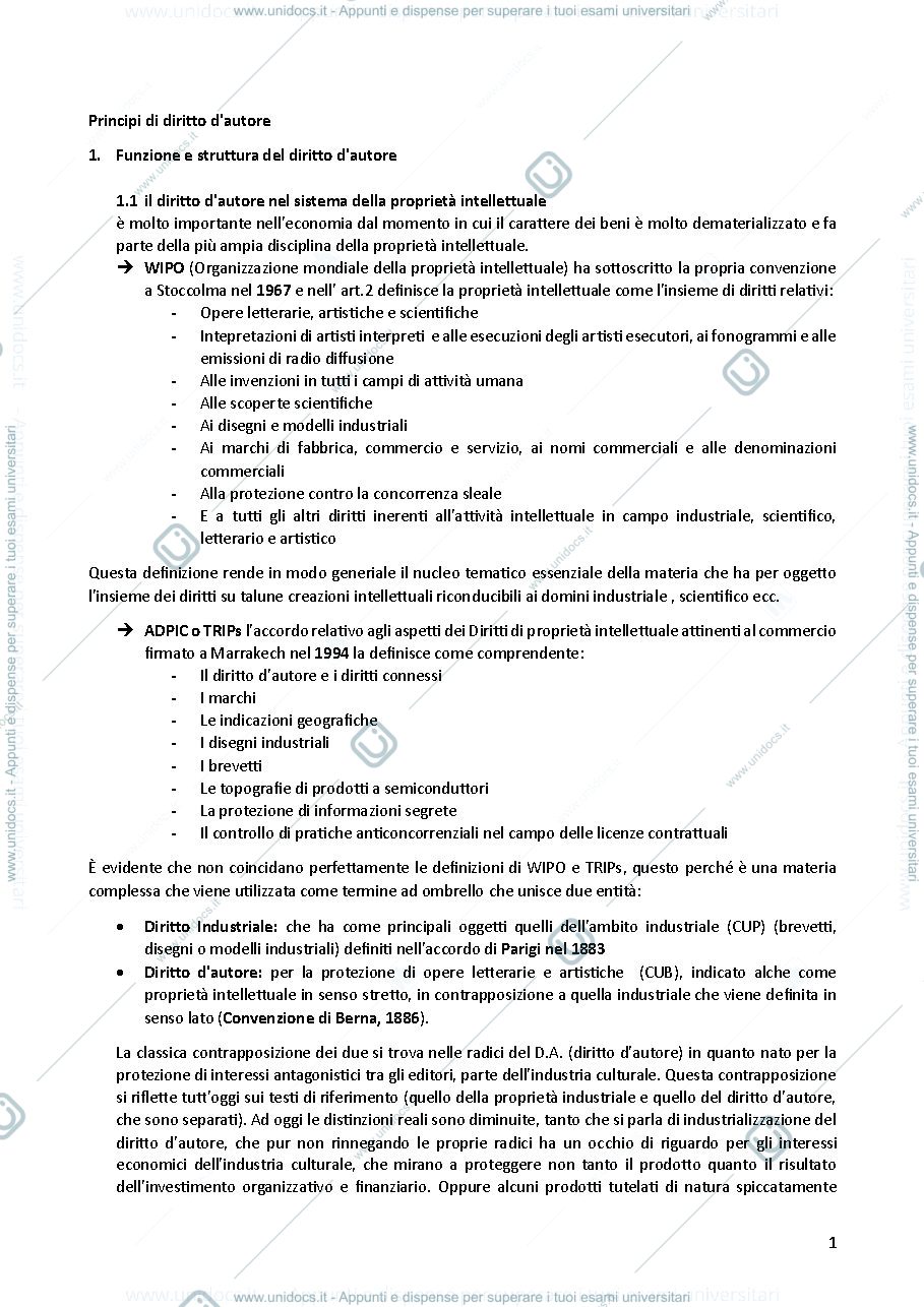 Anteprima pagina 1 — Riassunto principi di diritto d'autore 