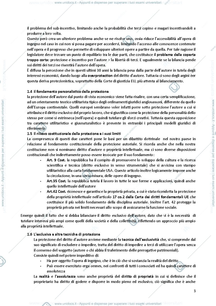Anteprima pagina 3 — Riassunto principi di diritto d'autore 
