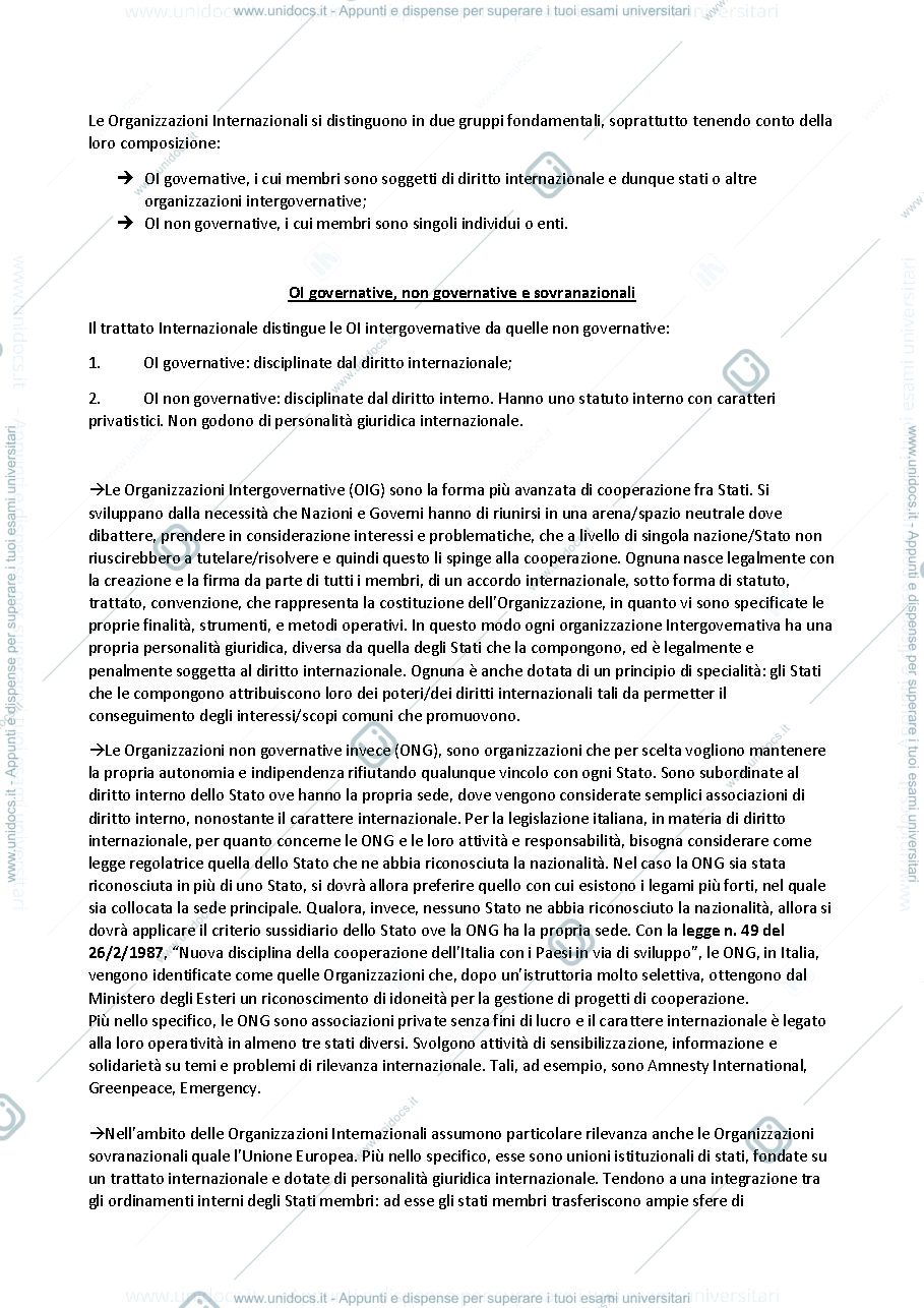Anteprima pagina 3 — Appunti lezioni diritto delle OI
