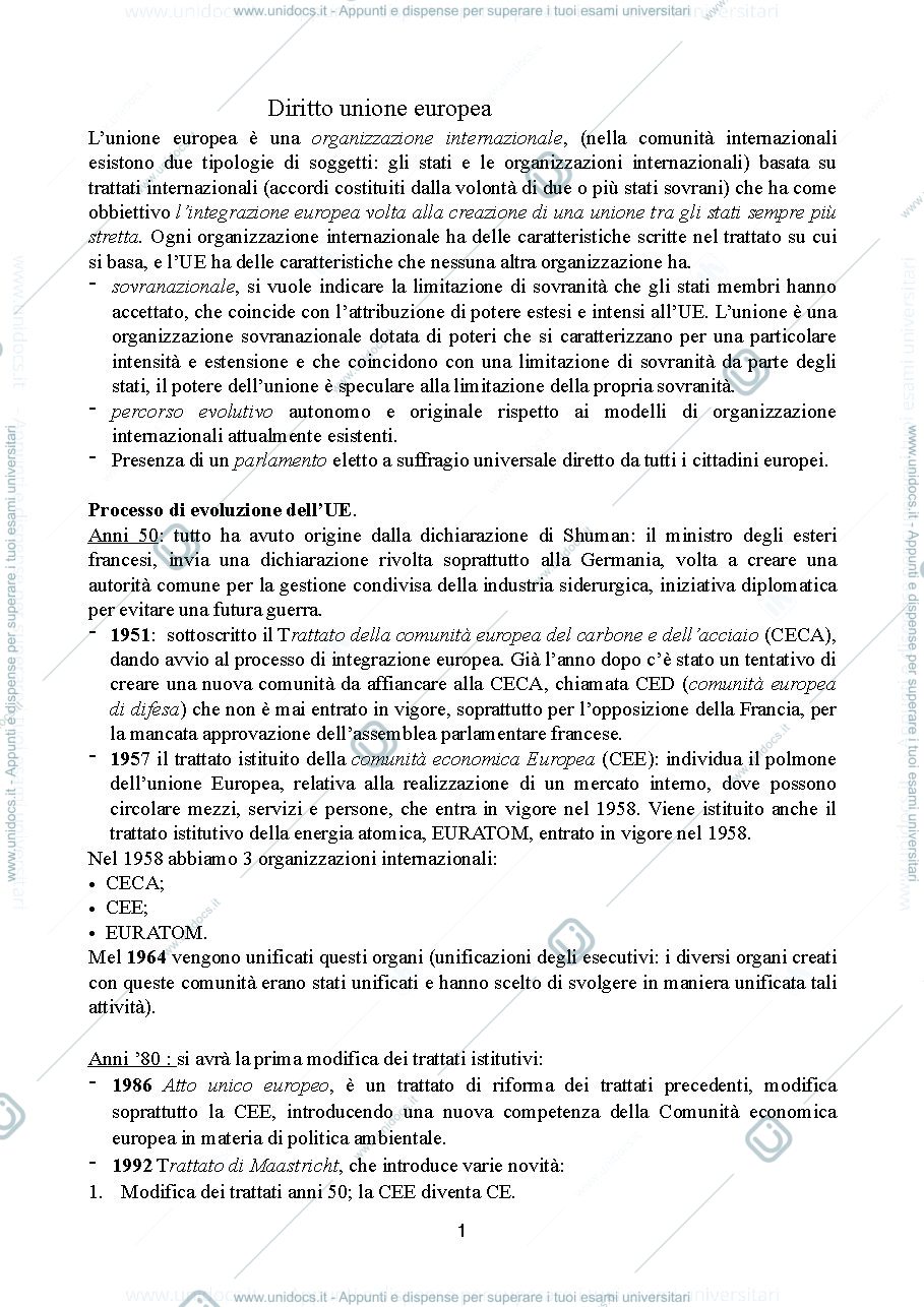 Anteprima pagina 1 — APPUNTI DI DIRITTO DELL'UNIONE EUROPEA