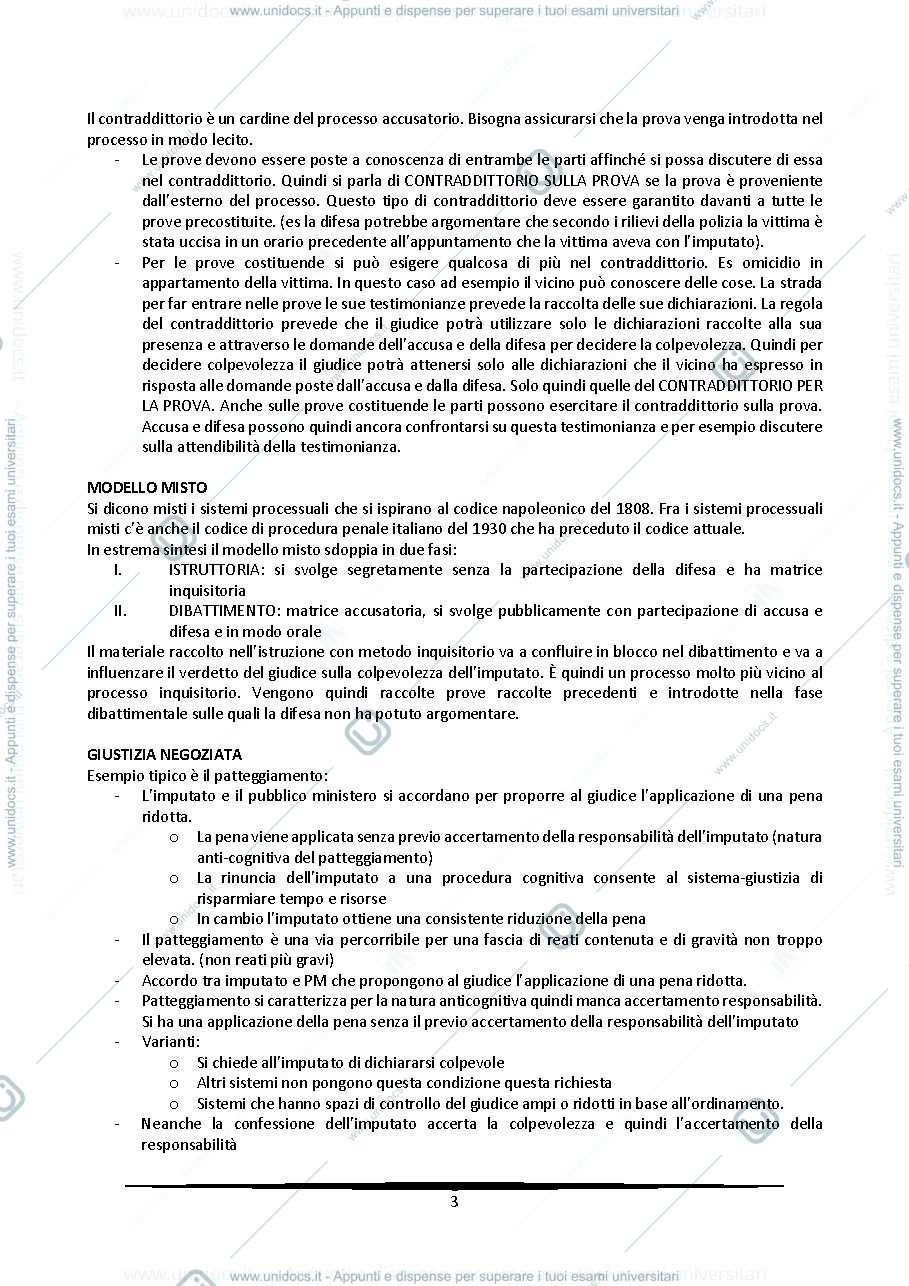 Anteprima pagina 3 — Diritto Processuale Penale