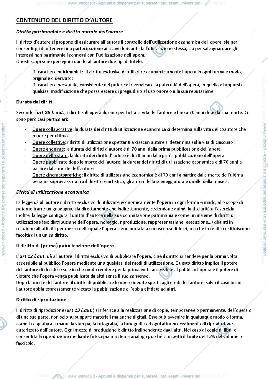 Anteprima pagina 3 — Riassunto su diritto d'autore