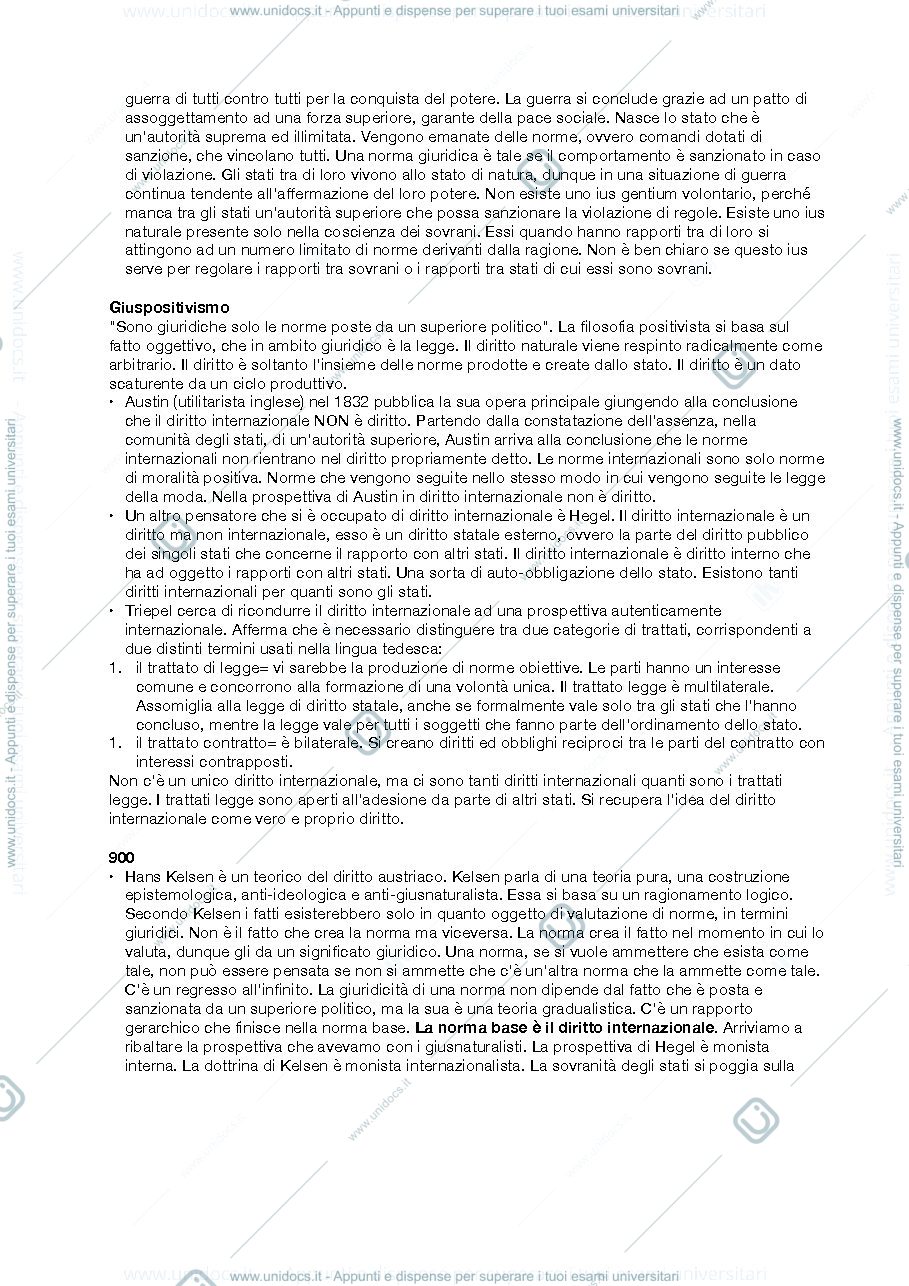 Anteprima pagina 3 — diritto internazionale