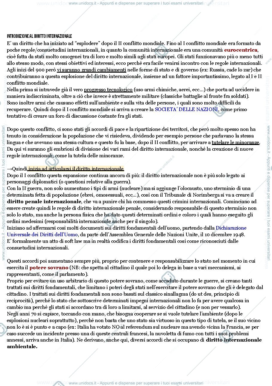 Anteprima pagina 1 — RIASSUNTO DIRITTO INTERNAZIONALE