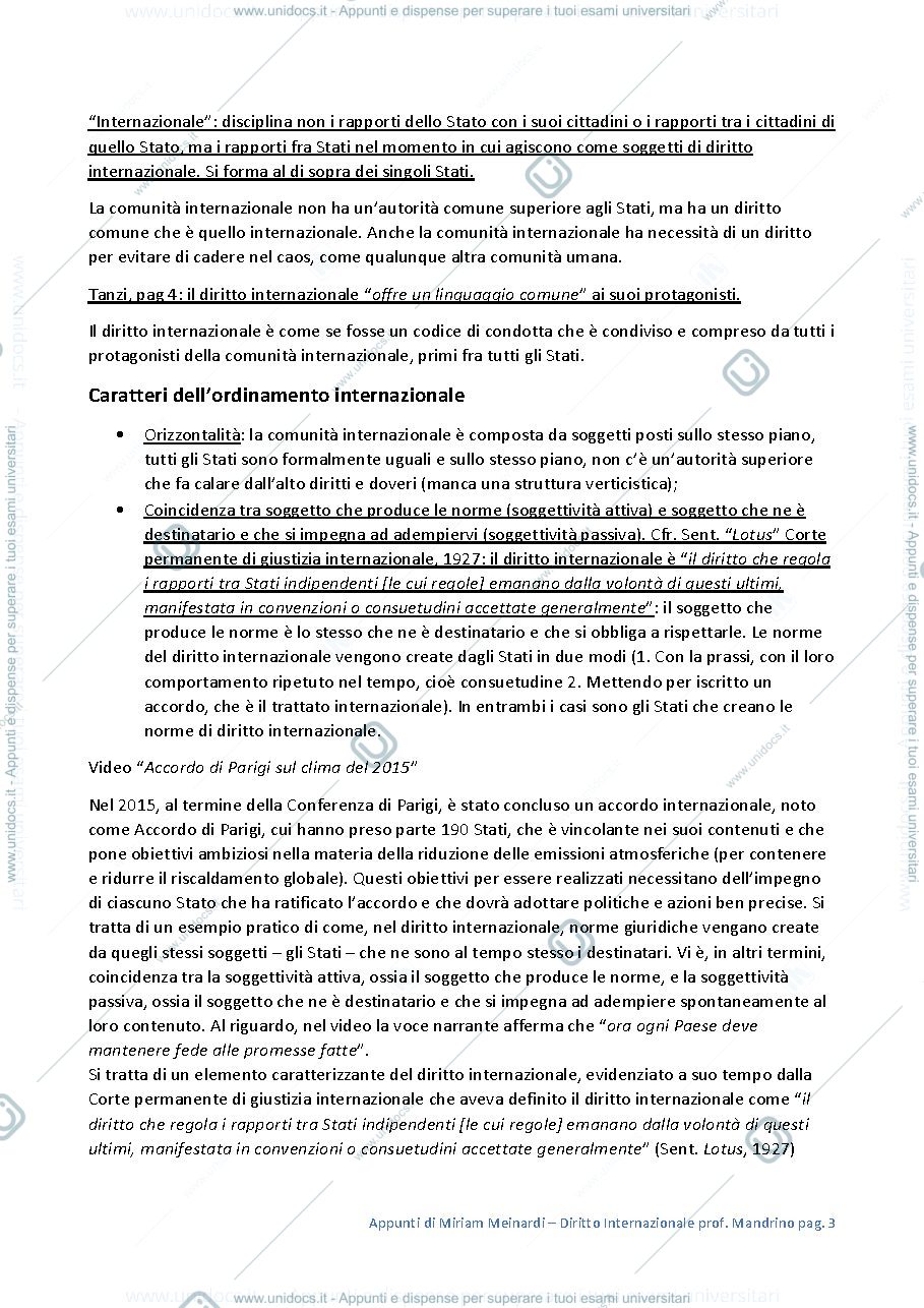 Anteprima pagina 3 — Appunti di Diritto Internazionale