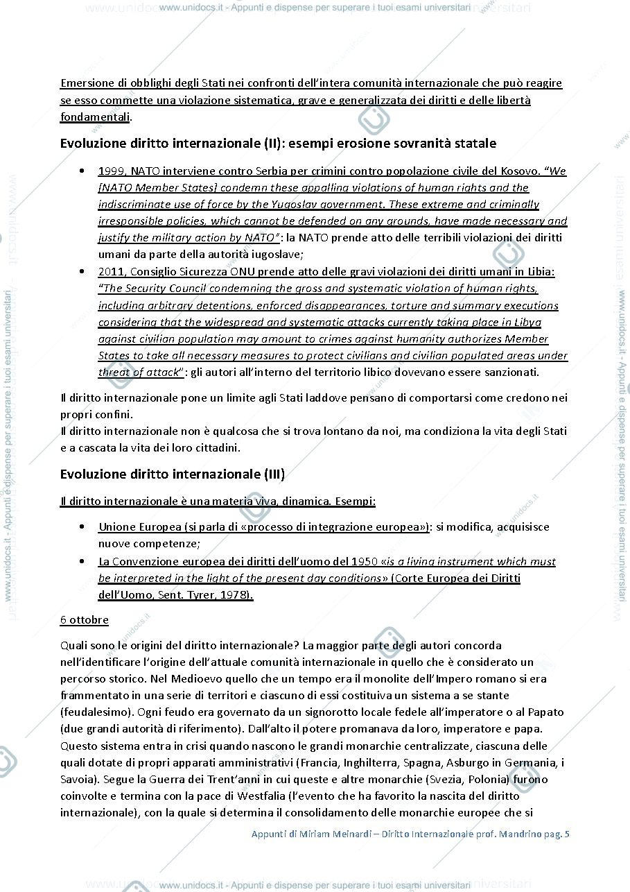 Anteprima pagina 5 — Appunti di Diritto Internazionale