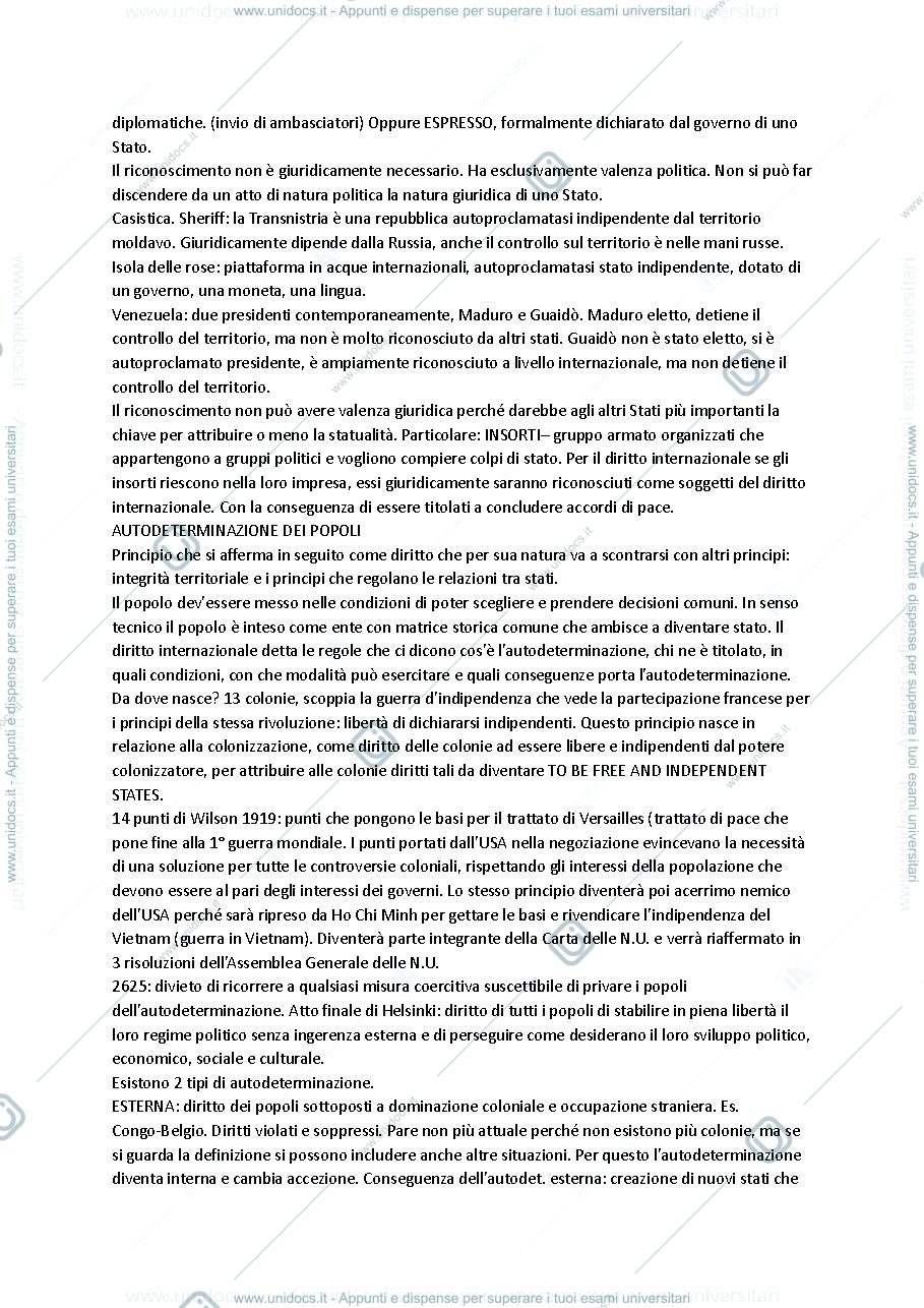 Anteprima pagina 3 — Appunti Dir. internazionale A. Spagnolo