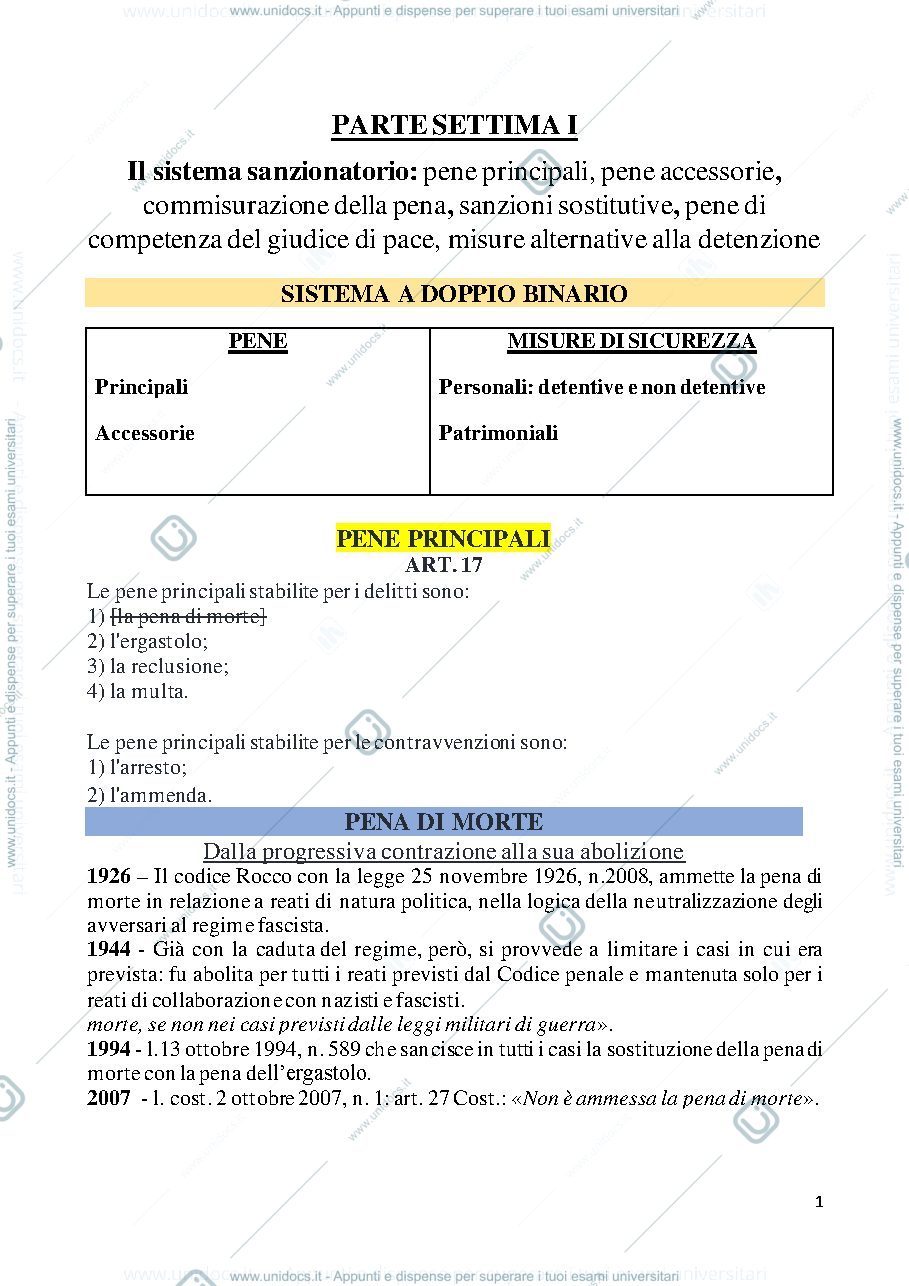 Anteprima pagina 1 — penale I - parte settima 1