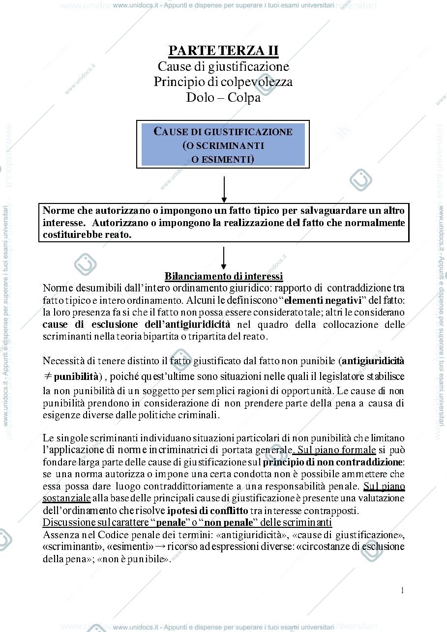 Anteprima pagina 1 — Penale I- parte terza 2