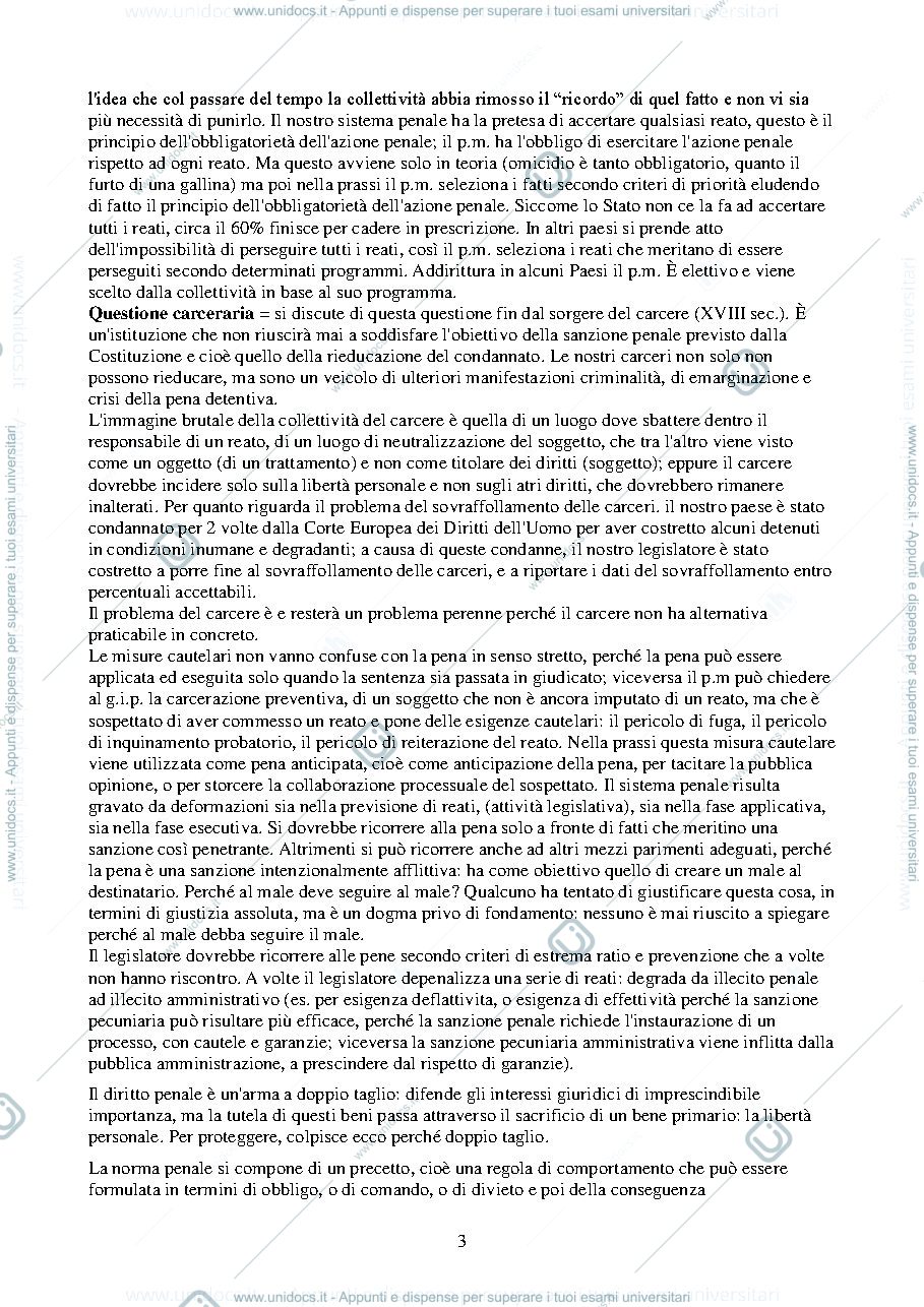 Anteprima pagina 3 — diritto Penale 1