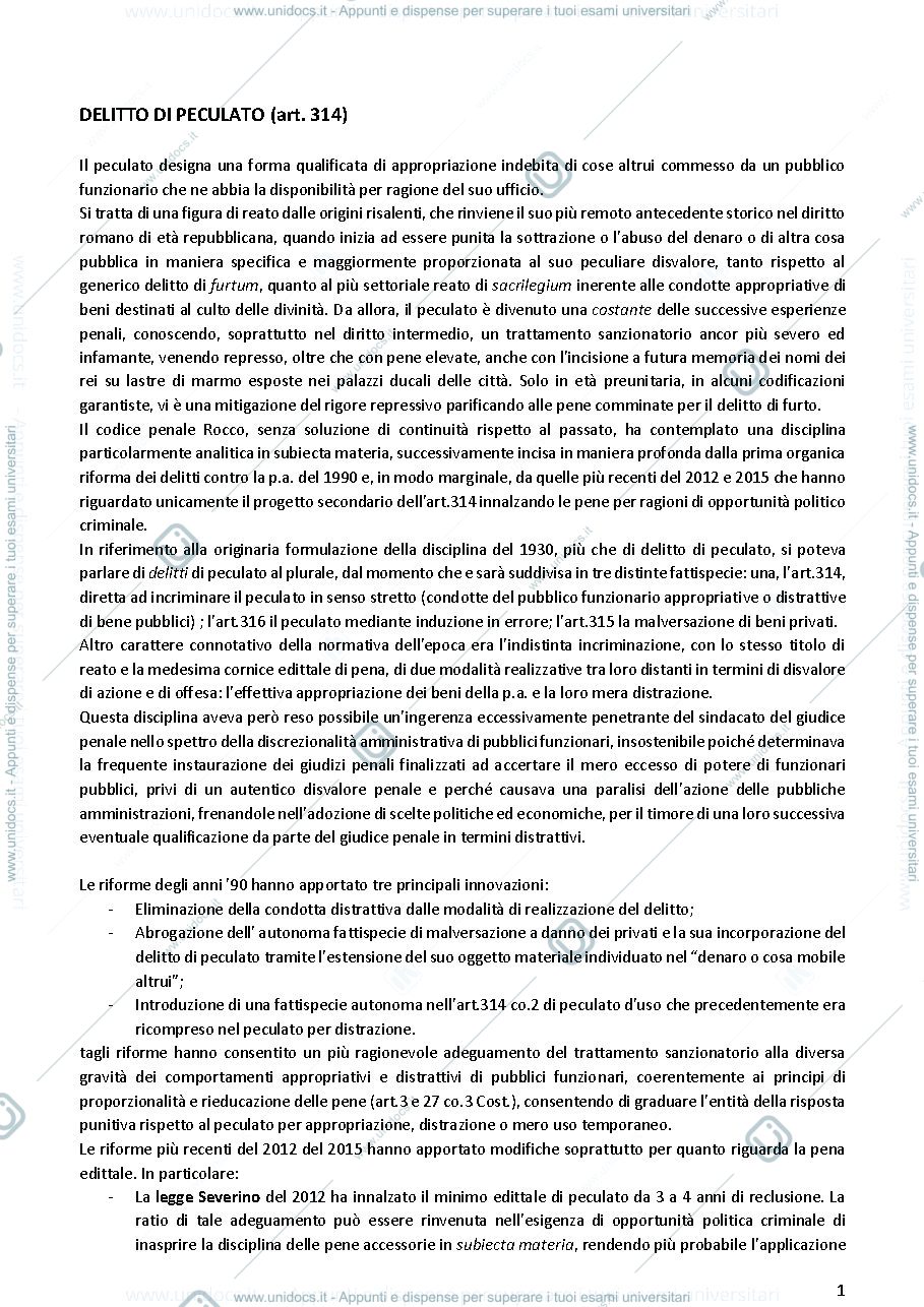 Anteprima pagina 1 — delitto di peculato 